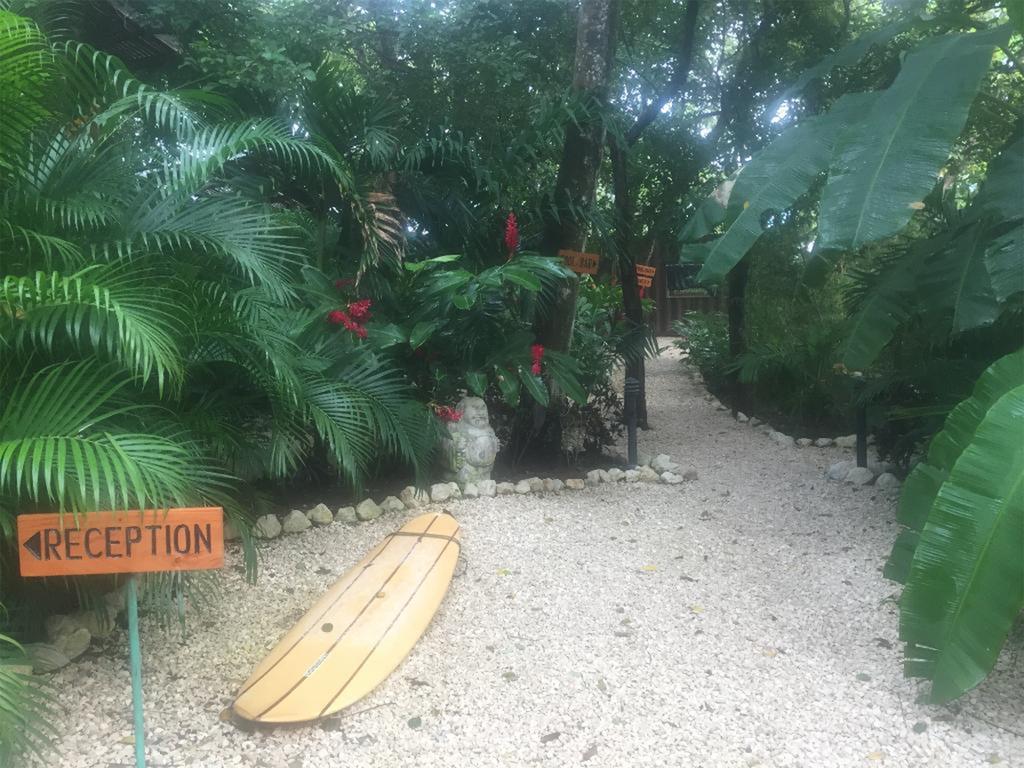 Green Sanctuary Hotel Nosara Luaran gambar