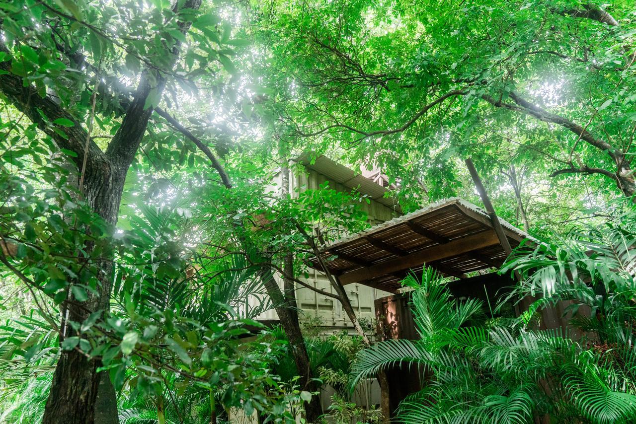 Green Sanctuary Hotel Nosara Luaran gambar