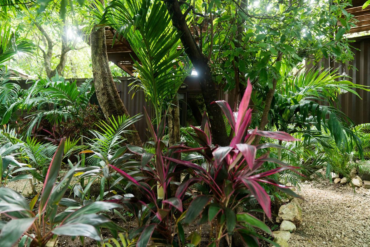 Green Sanctuary Hotel Nosara Luaran gambar