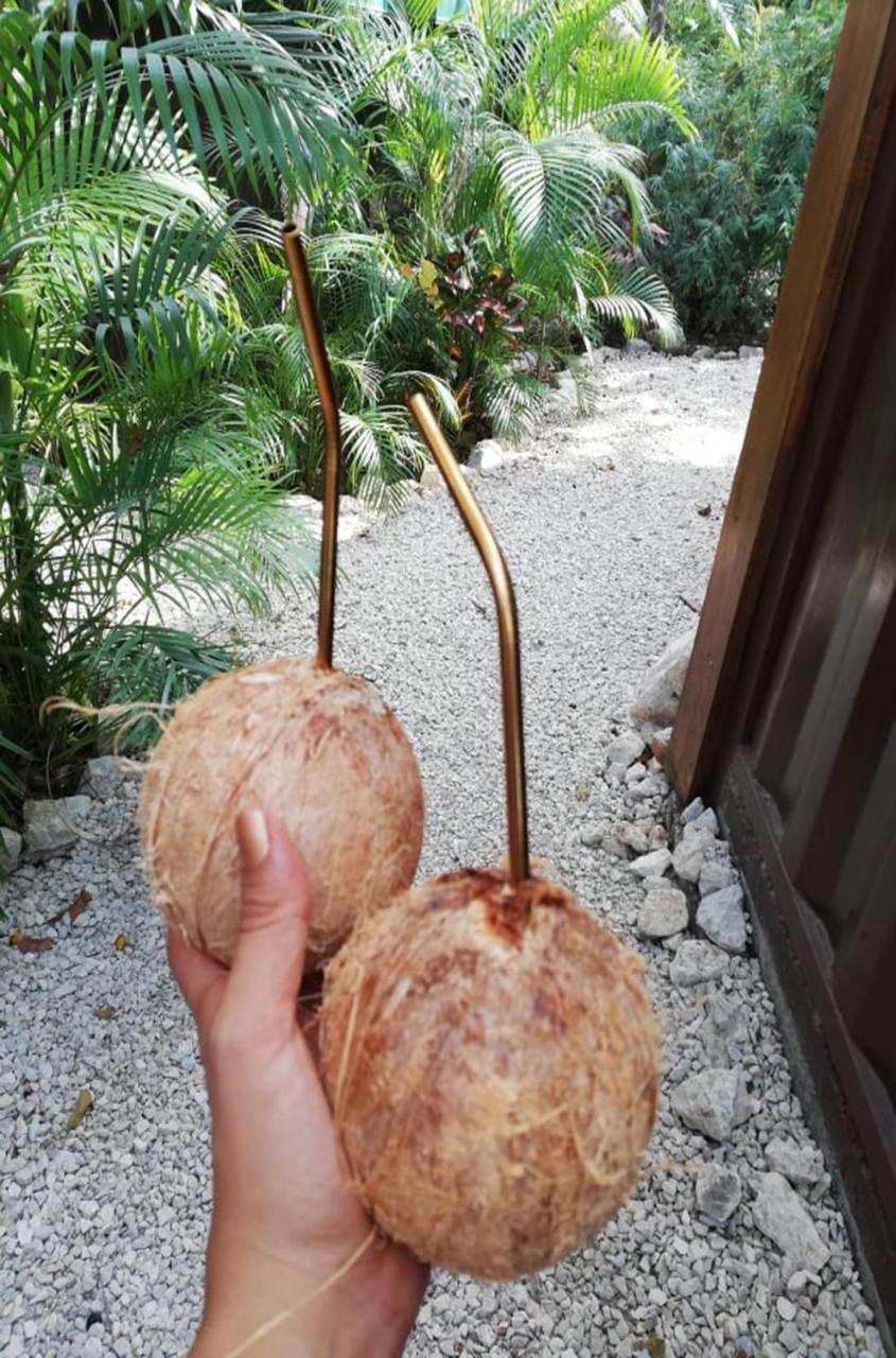 Green Sanctuary Hotel Nosara Luaran gambar